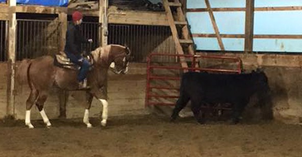 Carley & Tucker