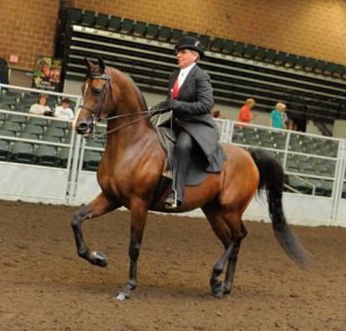 JAnna & Sparky