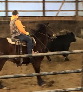 Landon & cows