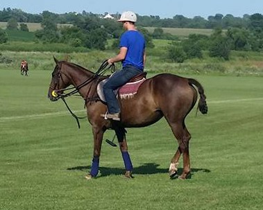 Landon Polo